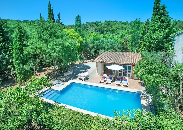 Owl Plomer - 2 Min Walk To The Old Town *